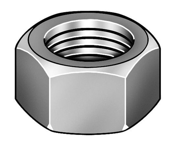 Hex Nut